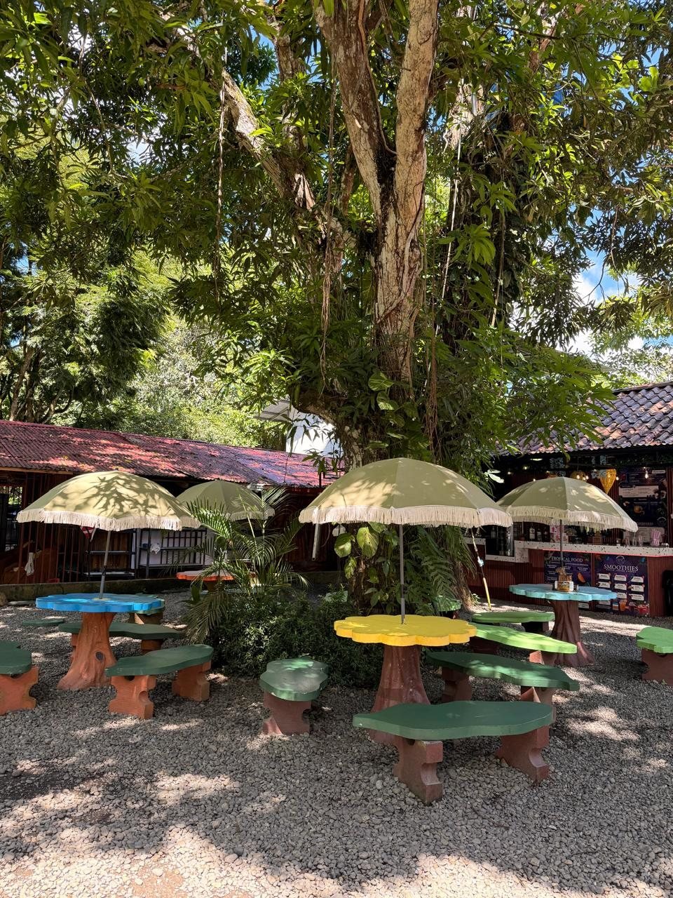 Shaded tables in the open-air dining area