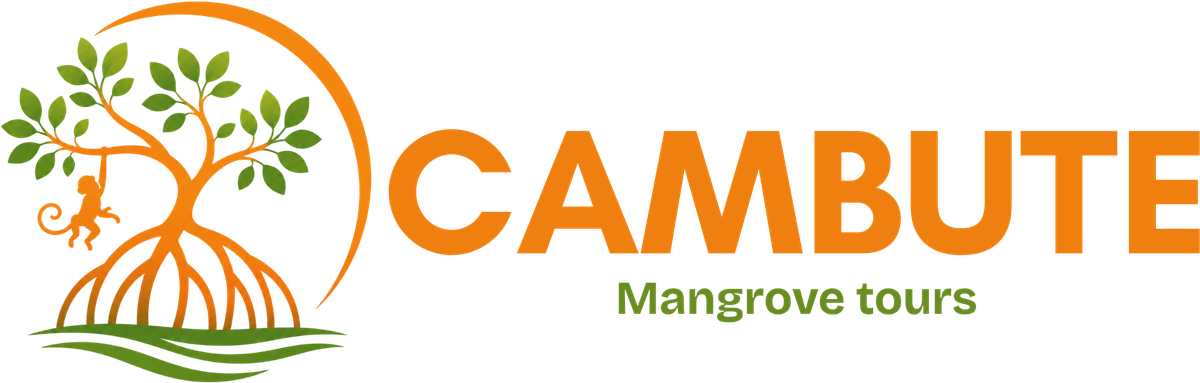 Cambute Mangrove Tours